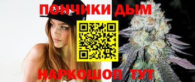 прущие грибы Новодвинск
