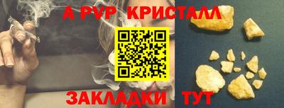 прущие грибы Новодвинск