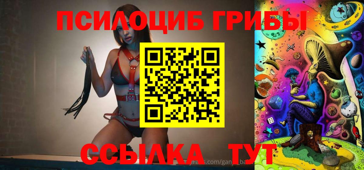 Пугачёв  Псилоцибиновые грибы MAGIC MUSHROOMS  Вход с VPN 